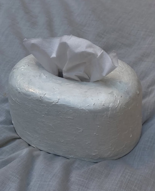 Modern White Ceramic Tissue Holder